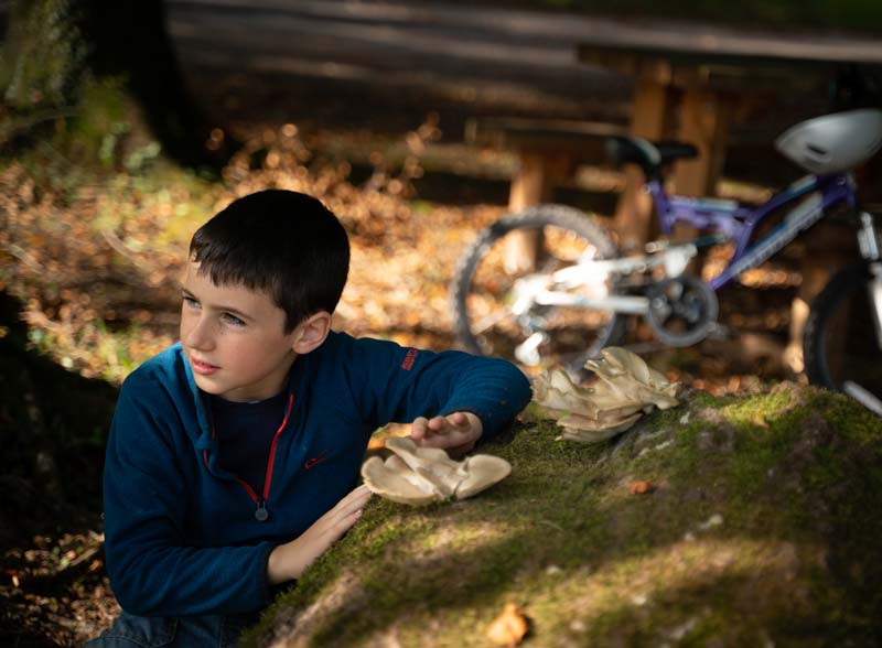 Bike Hire - Portumna Forest Park