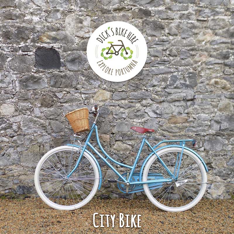City Bicycle Rental - Dick's Bike Hire, Portumna, Galway