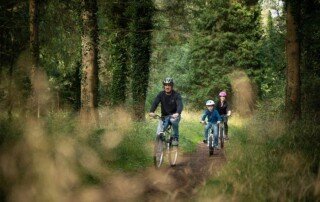 Explore Portumna Forest Park - Dick's Bike Hire