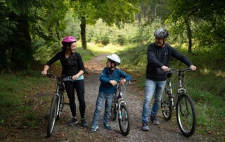 Explore Portumna Forest Park - Dick's Bike Hire