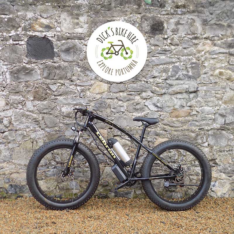 Electric Bicycle Rental - Dick's Bike Hire, Portumna, Galway