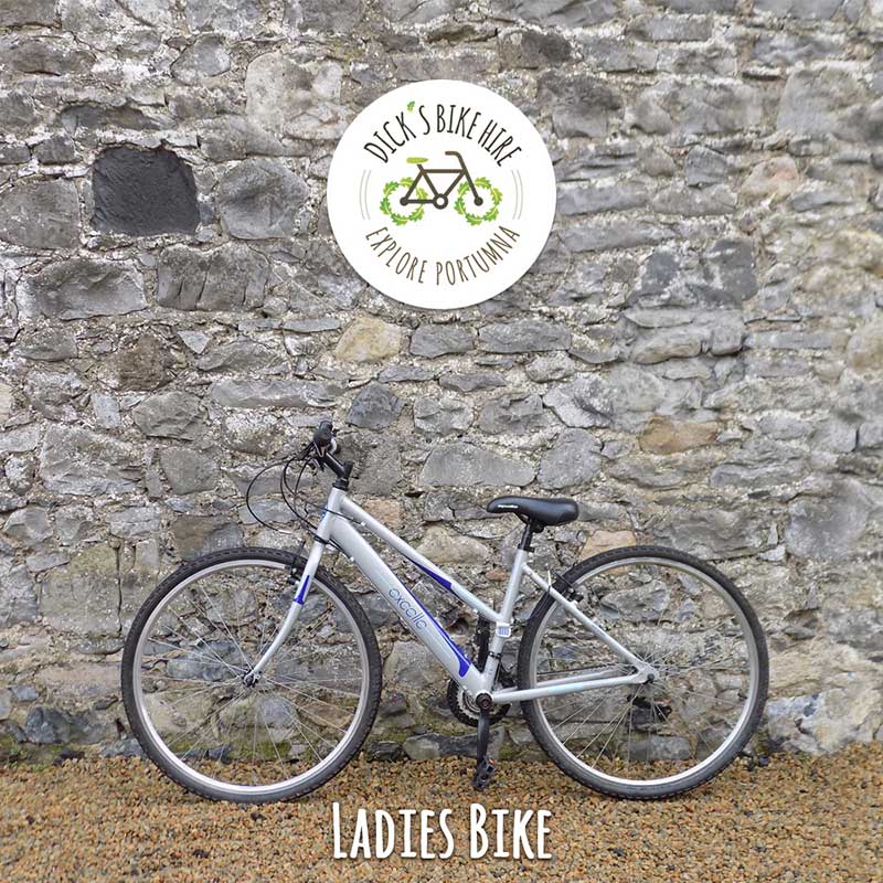 Ladies Bicycle Rental - Dick's Bike Hire, Portumna, Galway
