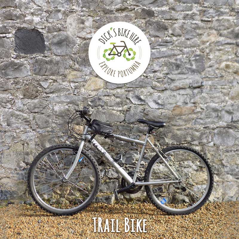 Trail Bicycle Rental - Dick's Bike Hire, Portumna, Galway