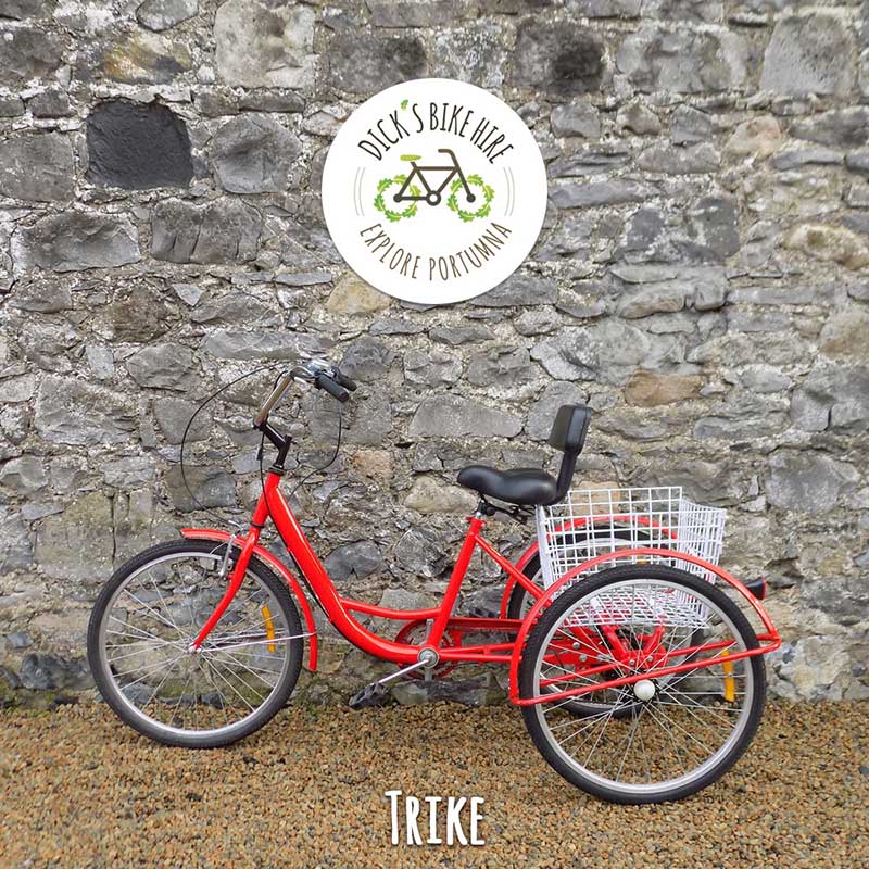 Trike Bicycle Rental - Dick's Bike Hire, Portumna, Galway