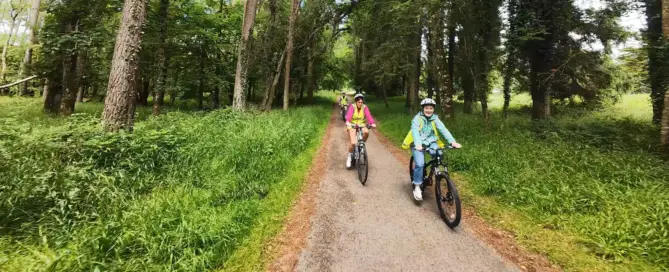 The Forest Park, Portumna, Co. Galway